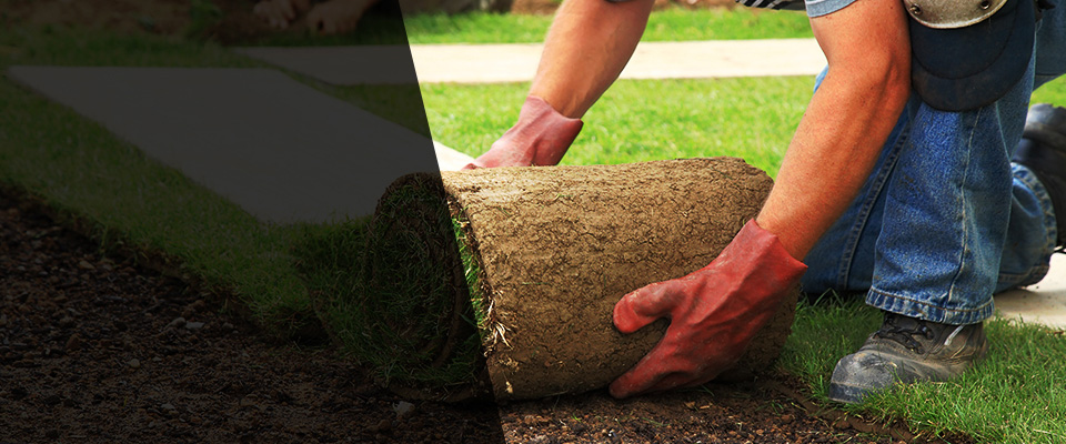 Trion Landscapers